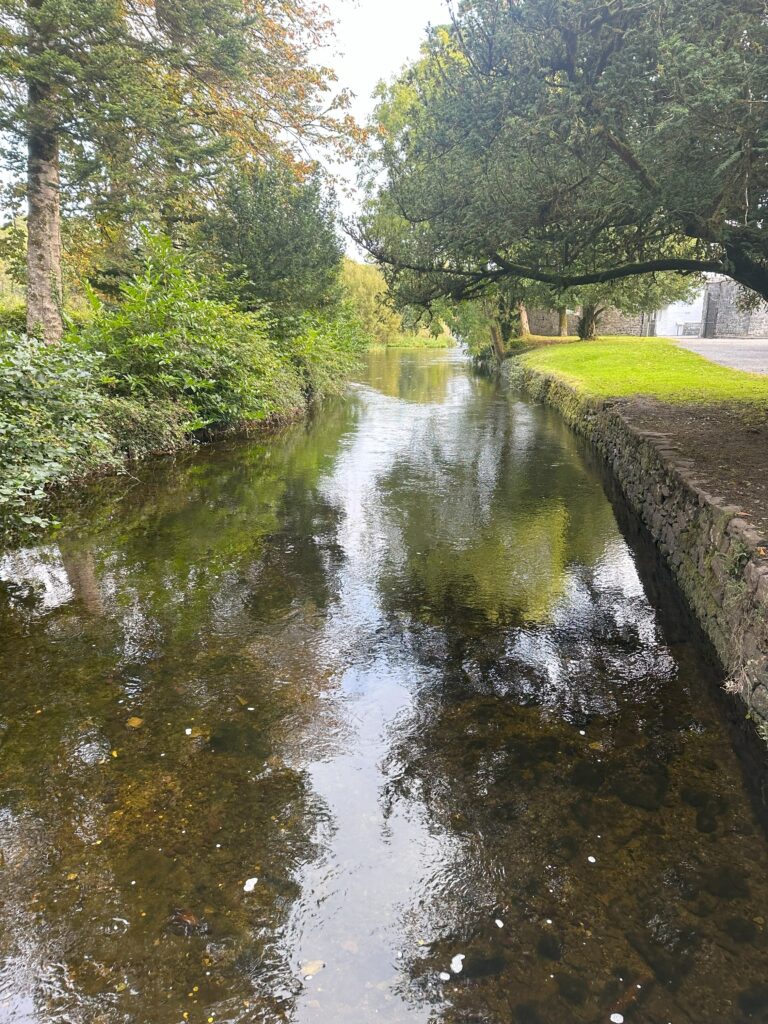 Beautiful Creek